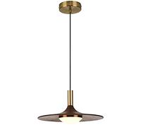 Creativity Brass Pendant Lighting for Kitchen Island with Acrylic Lampshade Vintage Wooden Hanging Light Fixture Adjustable Chandelier Lighting in Brushed Brass Finish