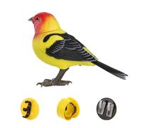 Creativity Fun Simulated Bird Voice Little Bird Electric Sensing Toy For Children V7n4 Singing Chirping Electronic And B