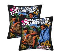 Creator The Rapper-Tyler Pillowcase With Print, Soft All-Season Throw Pillow Cover For Home Decor And Fans Gift.
