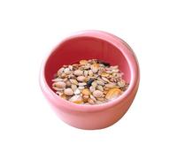CreatsGoss Hamster Feeding Bowl Ceramic Water Bowl Small Animal Food Dish Feeder for for Small Animal Pets,Hamster, Chinchilla, Guinea Pig, Hedgehog, Bird(Pink)