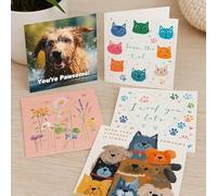 Creature Comforts Packs Of 5 Greeting Cards