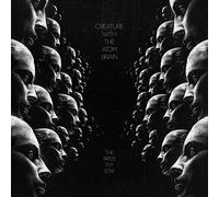 Creature With The Atom Brain - The Birds Fly Low