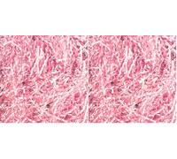 Creavvee Gift Packaging Shredded Paper Protection & Decoration Material 100g Light Pink (Pack of 2)