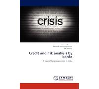 Credit and risk analysis by banks: A case of large coporates in india