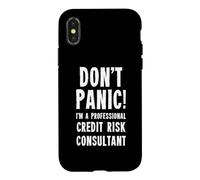 Credit Risk Consultant Case for iPhone X/XS