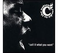 Credit To The Nation - Call It What You Want - One Little Indian - 94 TP 12