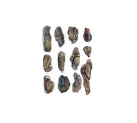 Creek Bed Rock Mold Woodland Scenics C1246