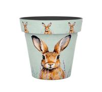 Creekwood 30Cm Indoor Outdoor Zest Pot Hare