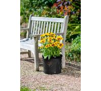 Creekwood 38Cm Indoor Outdoor Cotswold Cylinder Black