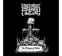 Creeping Flesh - In Times Of War
