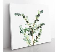 Creeping Willow Flowers by Pierre Joseph Redoute Vintage Canvas Wall Art Print Ready to Hang, Framed Picture for Living Room Bedroom Home Office Décor, 50x50 cm (20x20 Inch)