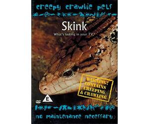 Creepy Crawlie Pets: Blue Tongued Skink [DVD]