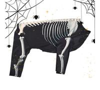 CREEPY FESTIVE OUTFIT - Featuring an eye-catching Halloween style skull pattern, this dog costume is great for parties and festive occasions, ensuring your pet stands out with