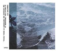 Cremation Lily - In England Now & The Processes