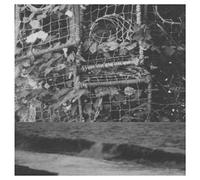 Cremation Lily - The Processes And Instruments Of Normal People [VINYL]