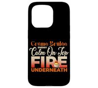 CREME BRULEE ENERGY CALM ON TOP FIRE UNDERNEATH Case for iPhone 15 Pro
