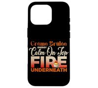 CREME BRULEE ENERGY CALM ON TOP FIRE UNDERNEATH Case for iPhone 16 Pro