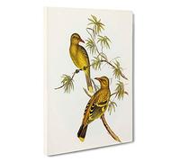 Crescent-Marked Oriole Birds by Elizabeth Gould Canvas Print | Gallery Wrapped 30mm Frame Wall Art | 30x20 inches | Ready to Hang | Modern Bird Picture | Living Room Bedroom Lounge Office