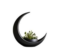 Crescent Moon Planter with Integrated Ellipse Pot, Black, 24cm Height, Decorative Sculptural Design for Small Plants and Succulents (Black)