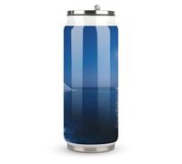 Crescent Salt Domes Printed Stainless Steel Thermos Cup with Lid and Straw Suitable for Use in The Car Traveling Fitness Outdoor Activities Cafes Offices Home Use Etc