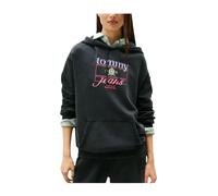 Crest Flag Hoodie S