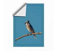 Crested Bird on Branch Minimalist Unframed Wall Art Print A4 (29.7×21cm), Wall Decor for Living Room, Bedroom, Office & Home, Art Gift