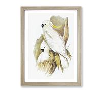 Crested Cockatoos By Elizabeth Gould Vintage Framed Print | A3 Oak Framed Wall Art | Ready to Hang | Classic Nature Picture | Living Room Bedroom Lounge Office