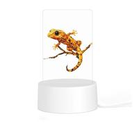 Crested Gecko Acrylic Night Light Lamp