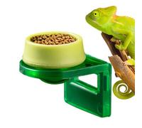 Crested Gecko Feeding Ledge | Adhesive Backing Terrarium Feeder Bowls | Leopard Gecko Water Dish | for Chameleon Lizard Small Pet Amphibian Iguanas Anoles