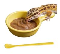 Crested Gecko Food Dish Reptile Feeder with Spoon