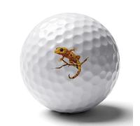 Crested Gecko Golf Balls Rubber Practice for Training for Backyard Beginner