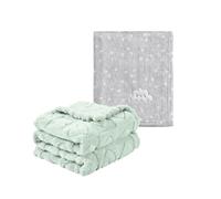 CREVENT 2Pcs 75cmX100cm Cute Cozy Fluffy Warm Baby Blankets for Infants Toddlers' Bedding Crib Cot Stroller - Grey Cloud + Green Sherpa