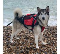 Crewsaver Pet Dog Cat Lifejacket Float - Size - M