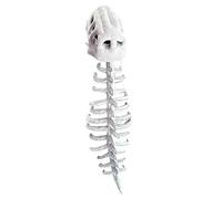 CRGANGZY 3D 90CM Spinosaurus Plush Dino Outfit, Realistic Dinosaur Skeleton Costume Set for Halloween Cosplay, Halloween Cosplay Lightweight Dinosaur Fossil Jumpsuit for Adults and Kids