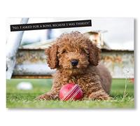 Cricket and Dog Greeting Card. Fun cute puppy and ball themed card with caption "No, I asked for bowl because I was thirsty" Large A5 size, blank inside. Photo by Charles Sainsbury-Plaice
