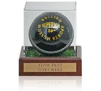 Cricket Ball Display Case 10x10x10cm with Custom Plaque words of your choice**