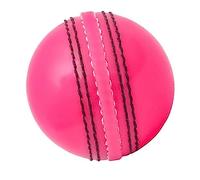 Cricket Ball Hard Ball Leather Hand Crafted Senior Match Quality Youth Practice Training Balls Weight 5.5oz (Pink)