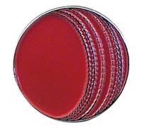 Cricket Ball Sporting Metal Enamelled Pin Badge Lapel Badge XJKB11-19