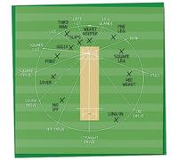 Cricket Fielding Positions, Birthday Card for Cricket Lover, Cricketer Gift, Cricket Birthday Card, Mens Birthday Cards, Card for Dad, Father's Day Card