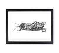 Cricket in Black & White by George Shaw Framed Print | A2 Black Framed Wall Art | Ready to Hang | Modern Sport Picture | Living Room Bedroom Lounge Office
