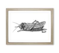 Cricket In Black & White By George Shaw Vintage Framed Wall Art Print, Ready to Hang Picture for Living Room Bedroom Home Office Décor, Oak A3 (46 x 34 cm)