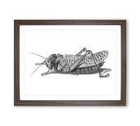 Cricket In Black & White By George Shaw Vintage Framed Wall Art Print, Ready to Hang Picture for Living Room Bedroom Home Office Décor, Walnut A3 (46 x 34 cm)