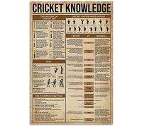 Cricket Knowledge Metal Sign Cricket Bat History Skill Tin Posters Difference Between Cricket And Baseball Tin Signs Fans Collectible Plaques Room Wall Decor es 8"x12"