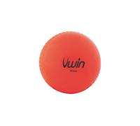Cricket Training Ball Adult