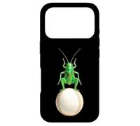 Cricket watercolor painting insect art nature meets sports Case for iPhone 17 Pro