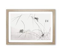 Crickets by Morimoto Toko Framed Print | A2 Oak Framed Wall Art | Ready to Hang | Modern Nature Picture | Living Room Bedroom Lounge Office