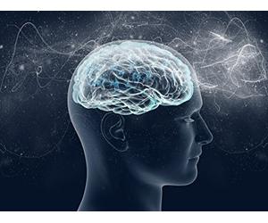 Crime and the Guilty Mind