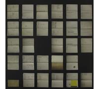 Crime in Stereo I Heard These Dudes Are... (Vinyl) (US IMPORT)