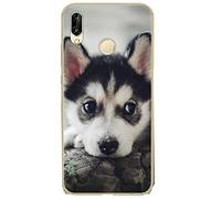 Crime Stories [DVD] [Region 1] [US Import] [NTSC]