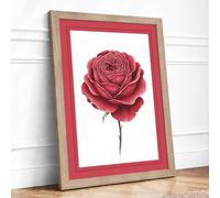 Crimson Rose Unfolding Botanical Framed Wall Art Print A1 (84.1×59.4cm) Oak, Wall Decor for Living Room, Bedroom, Office & Home, Ready to Hang, Art Gift